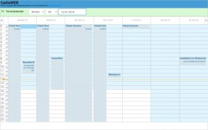 Terminkalender in CadiaWEB